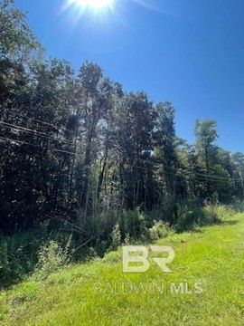 Undeveloped Lot on Quiet Street