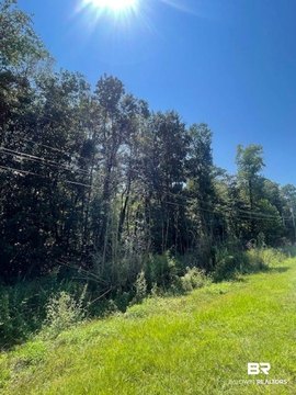 Undeveloped Lot on Quiet Street