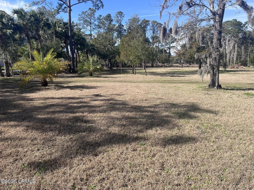 Picture 3