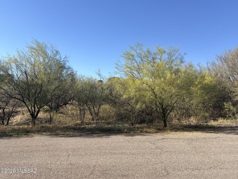 Residential Land in Rio Rico