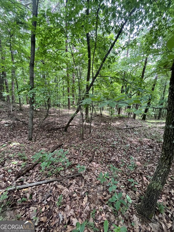 Picture 22