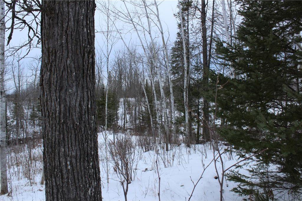 Picture 37