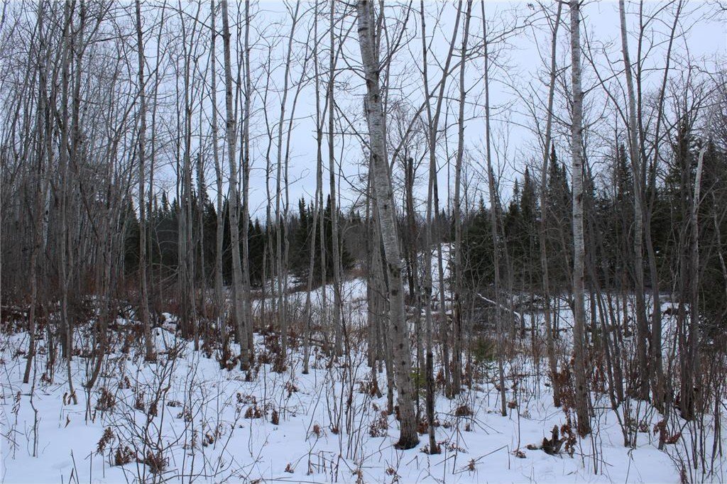 Picture 36