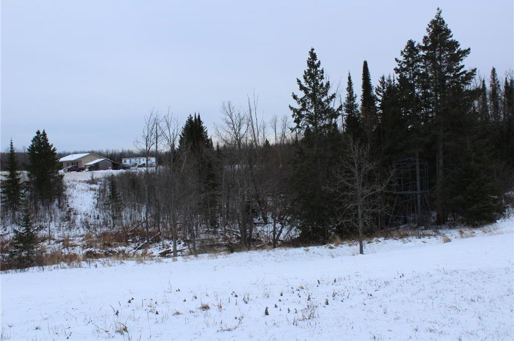 Picture 39