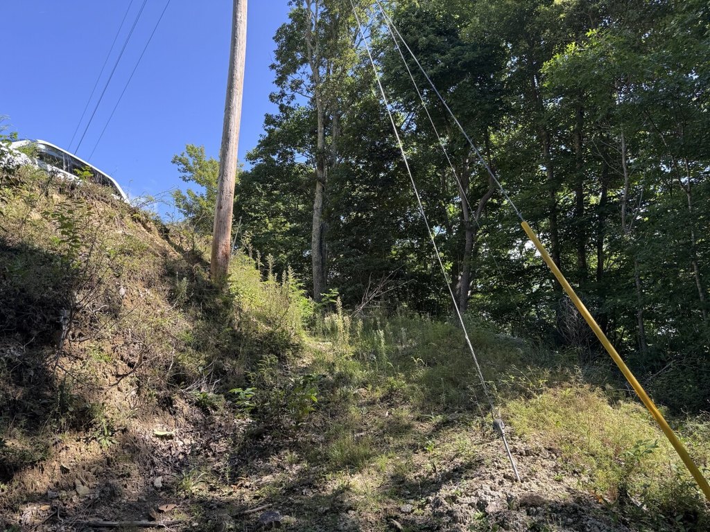 Picture 23