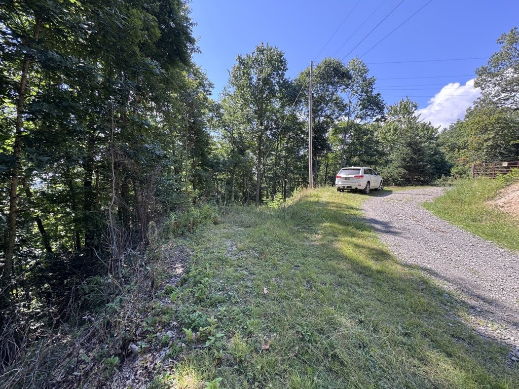 Picture 22