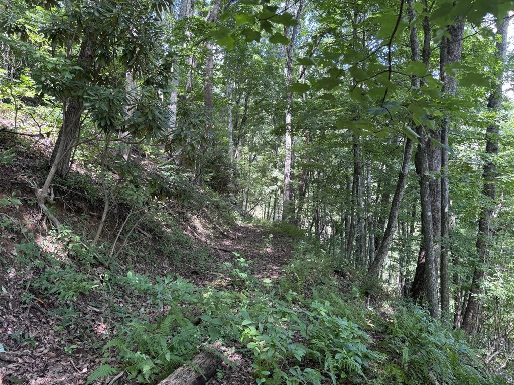 Picture 30