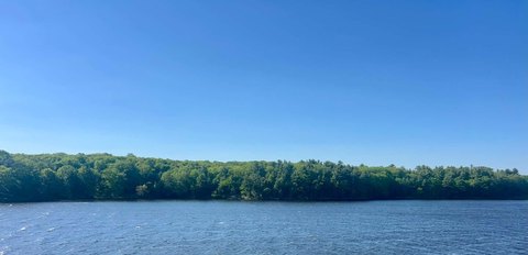 46 Acres on Black Lake