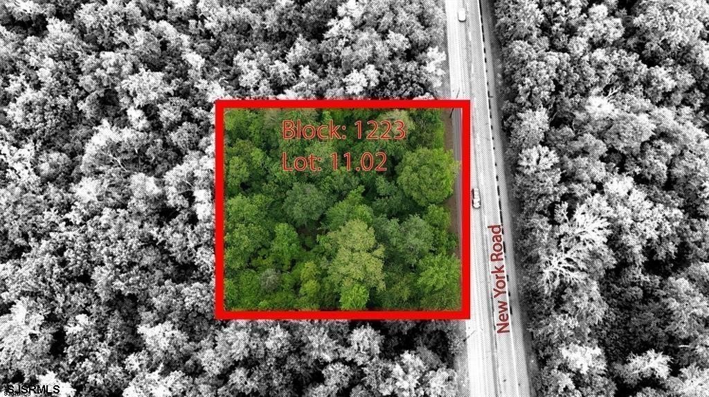Picture 2