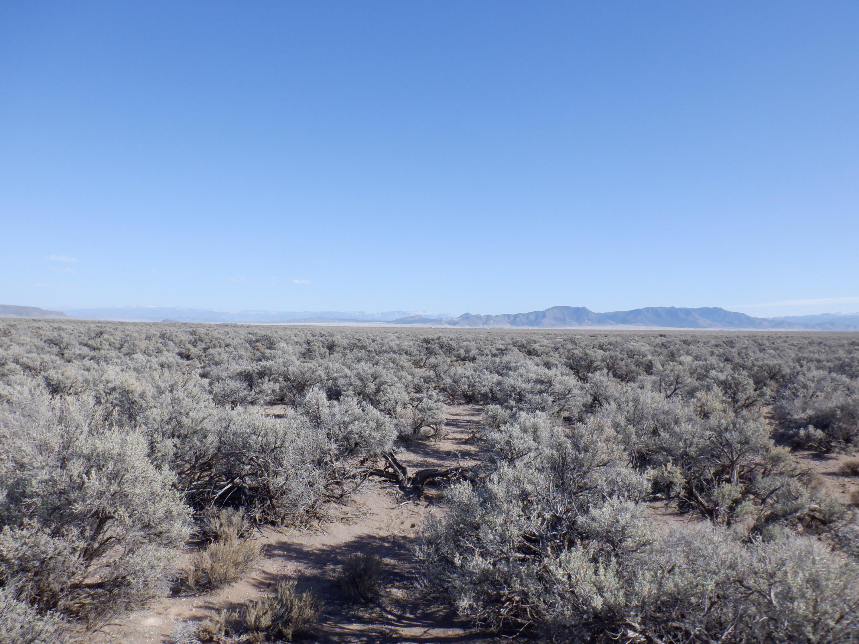 Land For Sale in Beryl