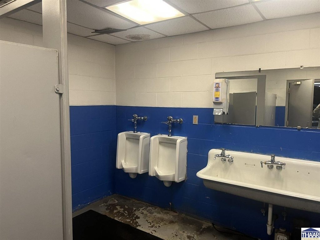 Picture 14