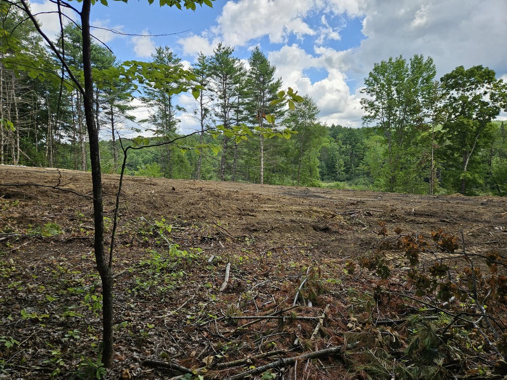 Picture 24