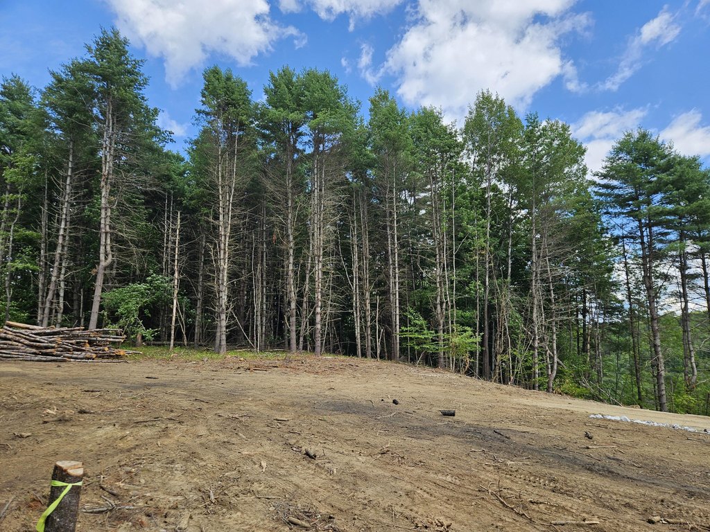 Picture 22