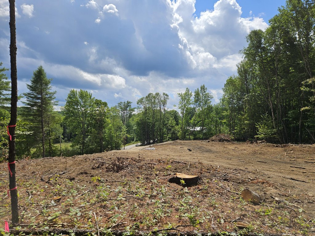 Picture 21