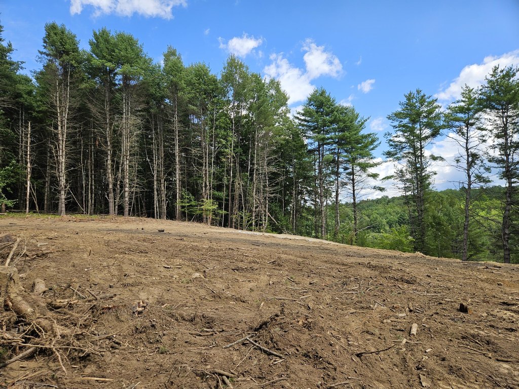 Picture 18