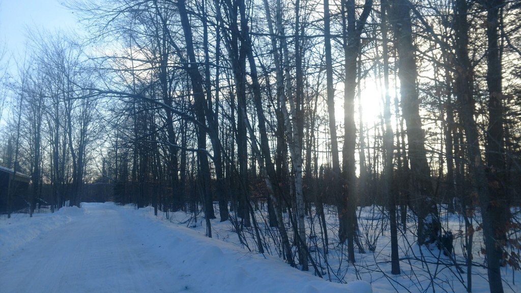 Picture 16