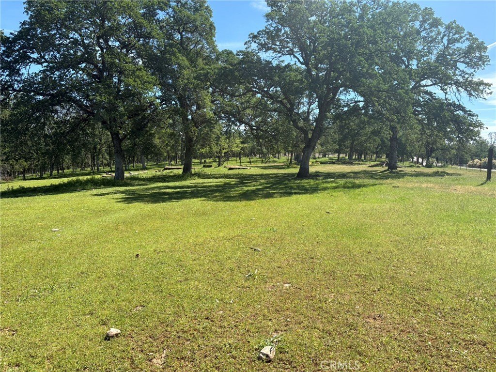Picture 25