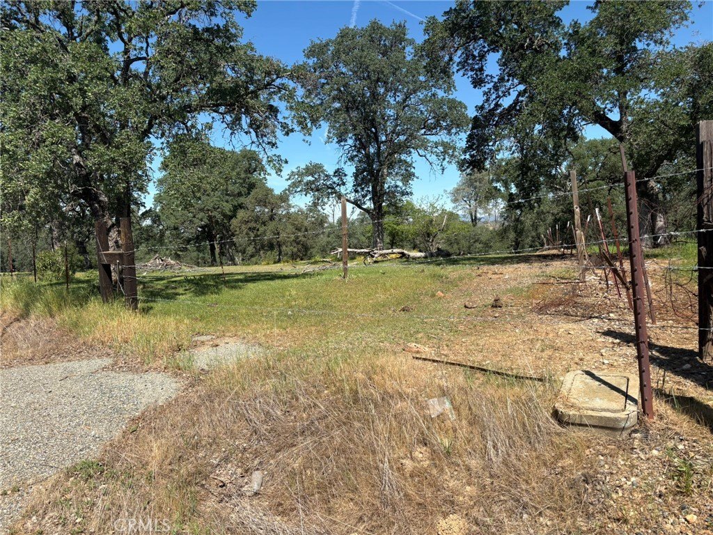 Picture 26