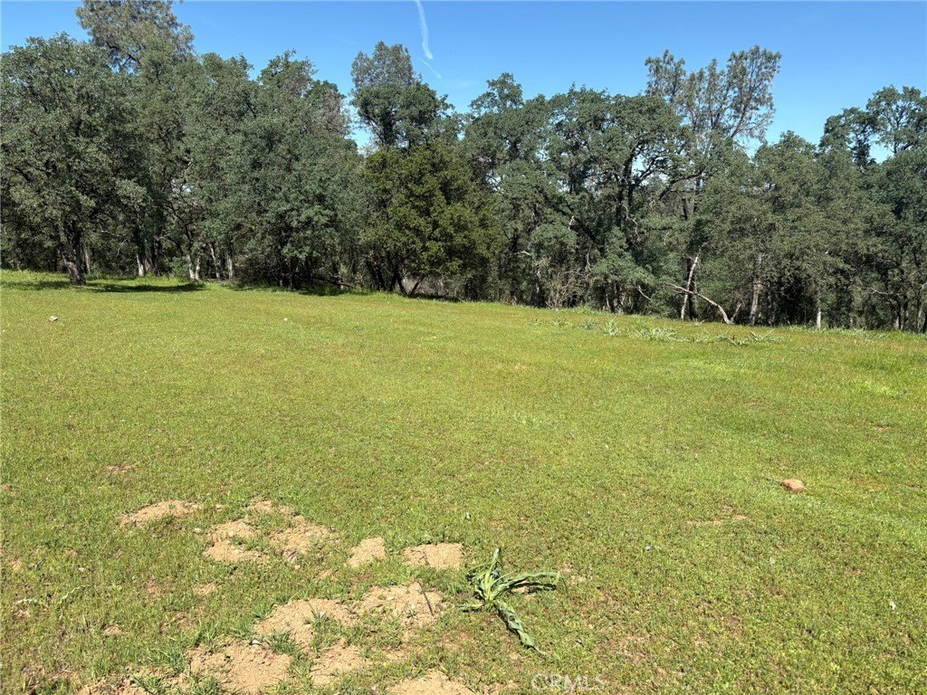 Picture 23