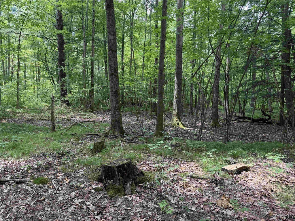 Picture 4