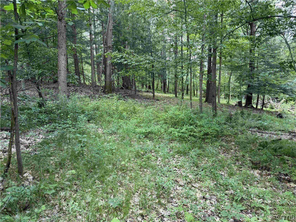 Picture 19