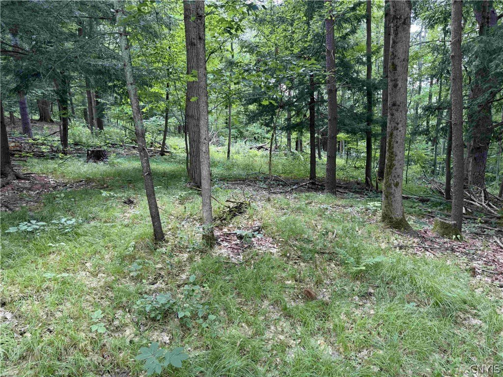 Picture 21