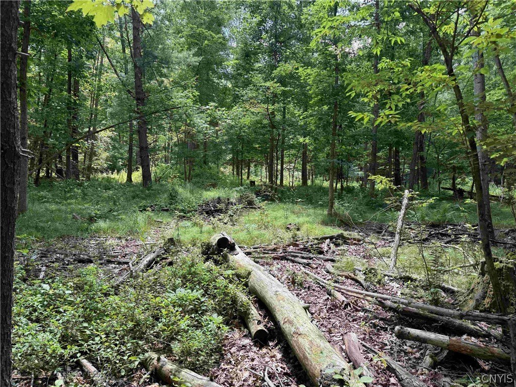 Picture 14