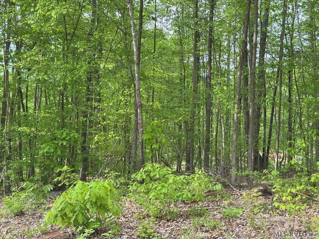 Picture 36
