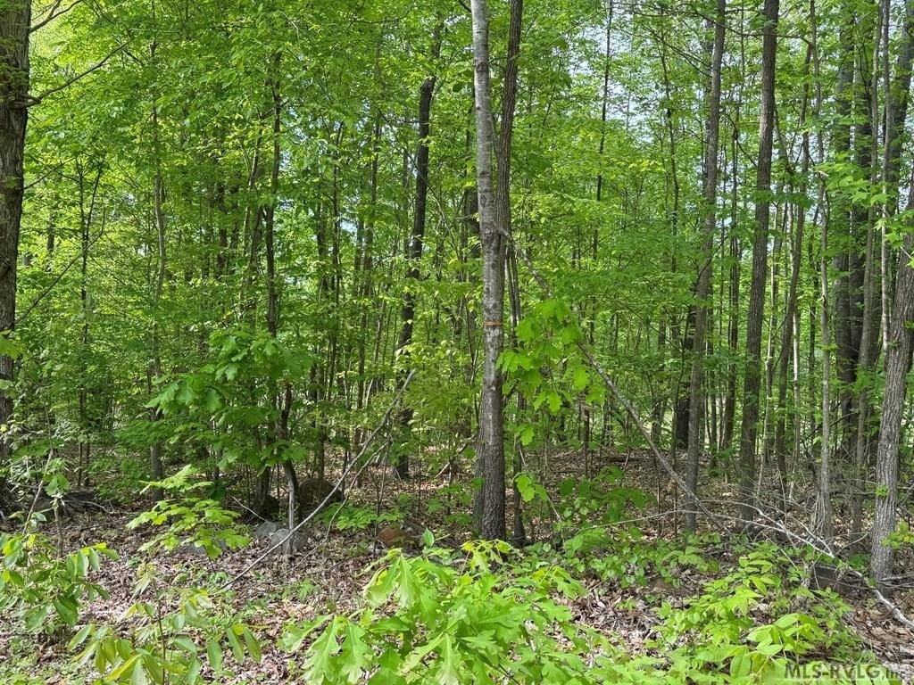 Picture 19