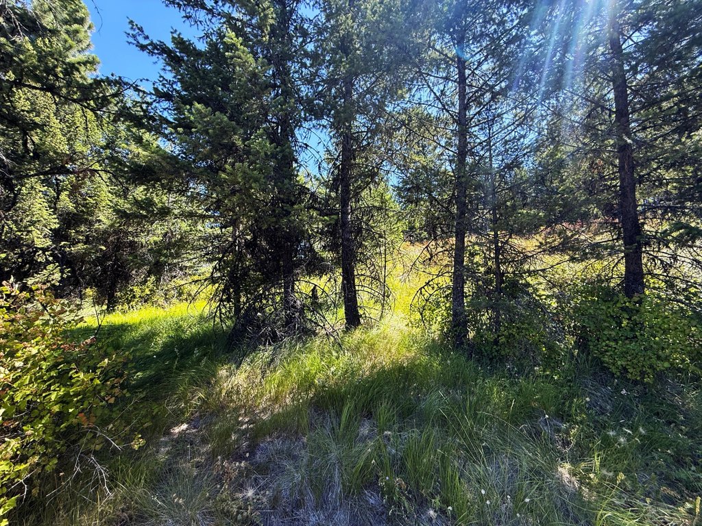 Picture 11