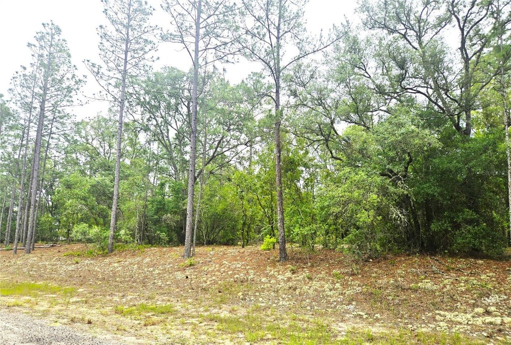 Picture 6