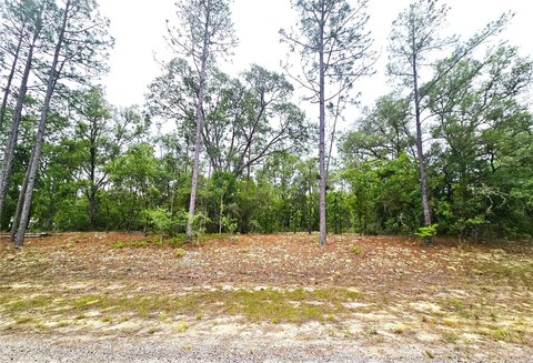 Land, DUNNELLON, FL
