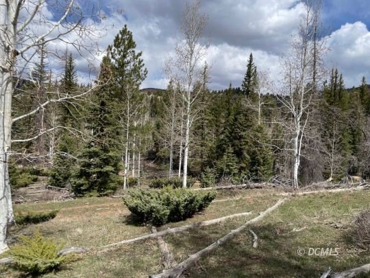 Residential Lot Near Duck Creek