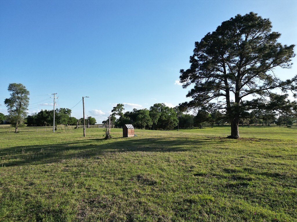 Picture 10