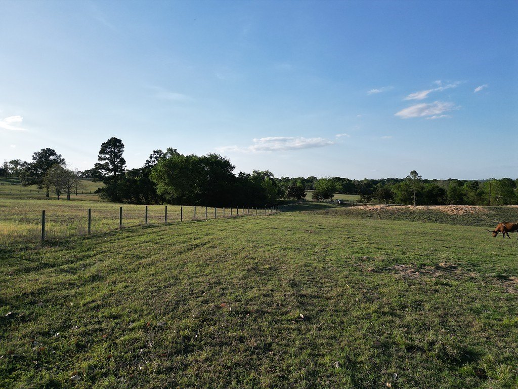 Picture 17