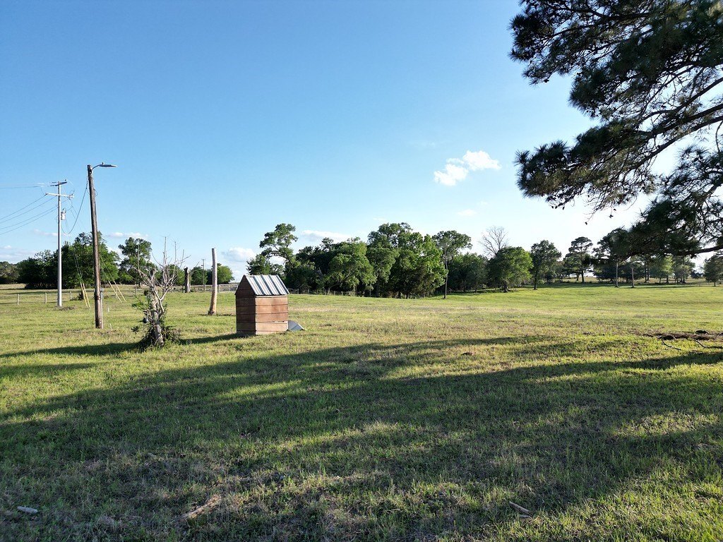 Picture 9