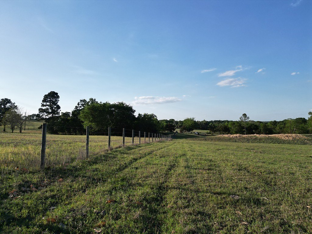 Picture 16
