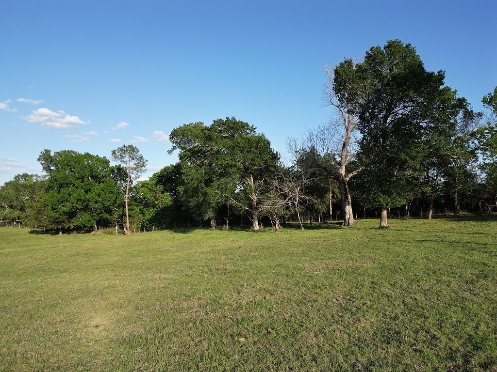 Picture 12