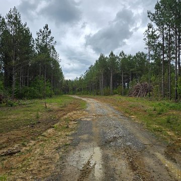 Robbins, TN Land Opportunity