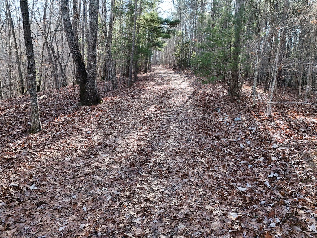Picture 8