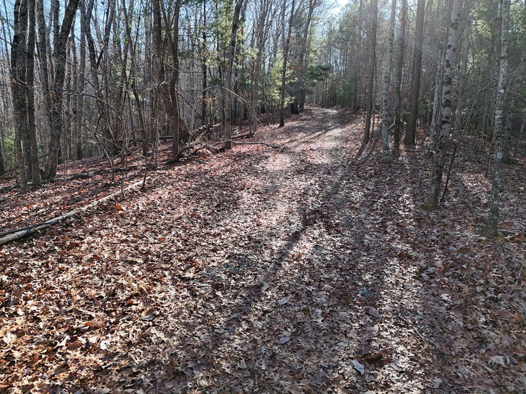 Picture 7