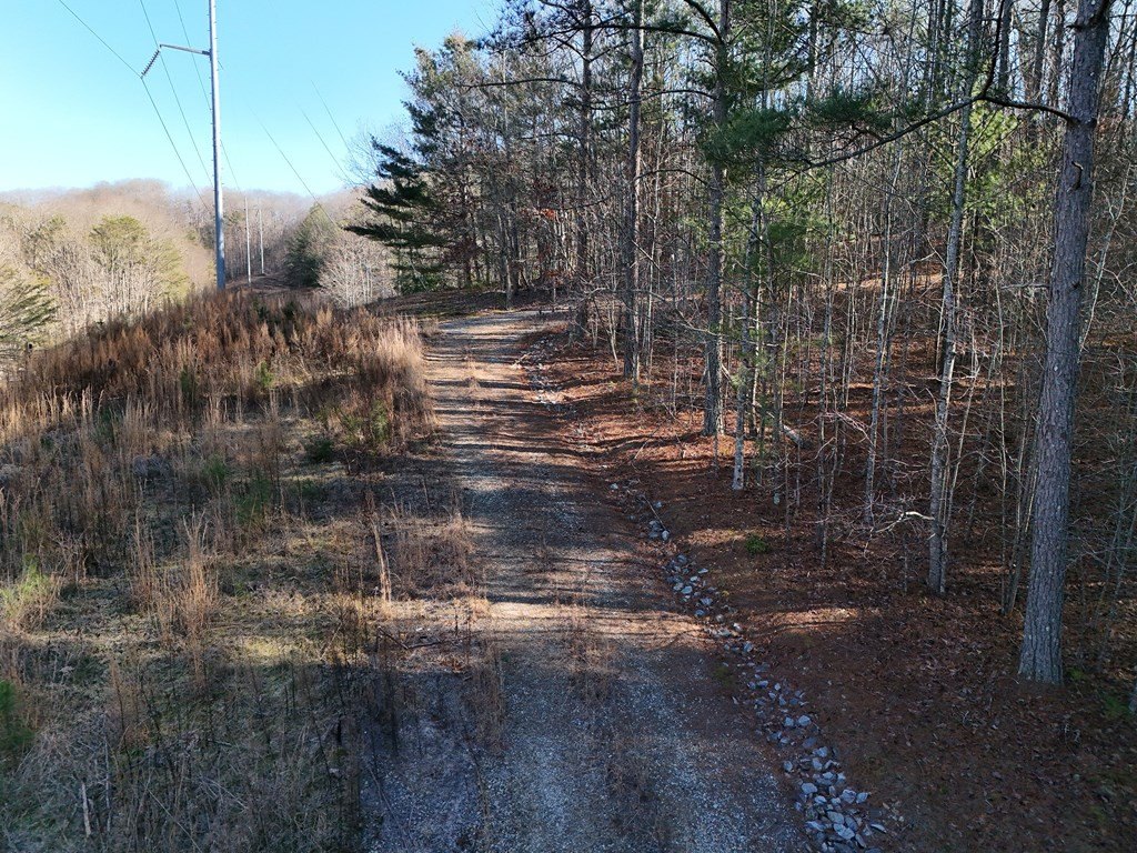 Picture 16
