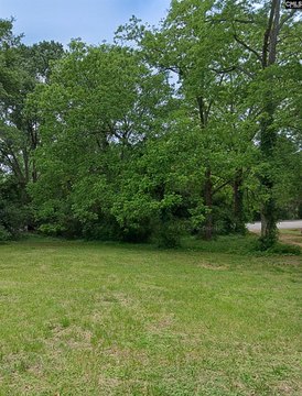 Newberry County Land Opportunity