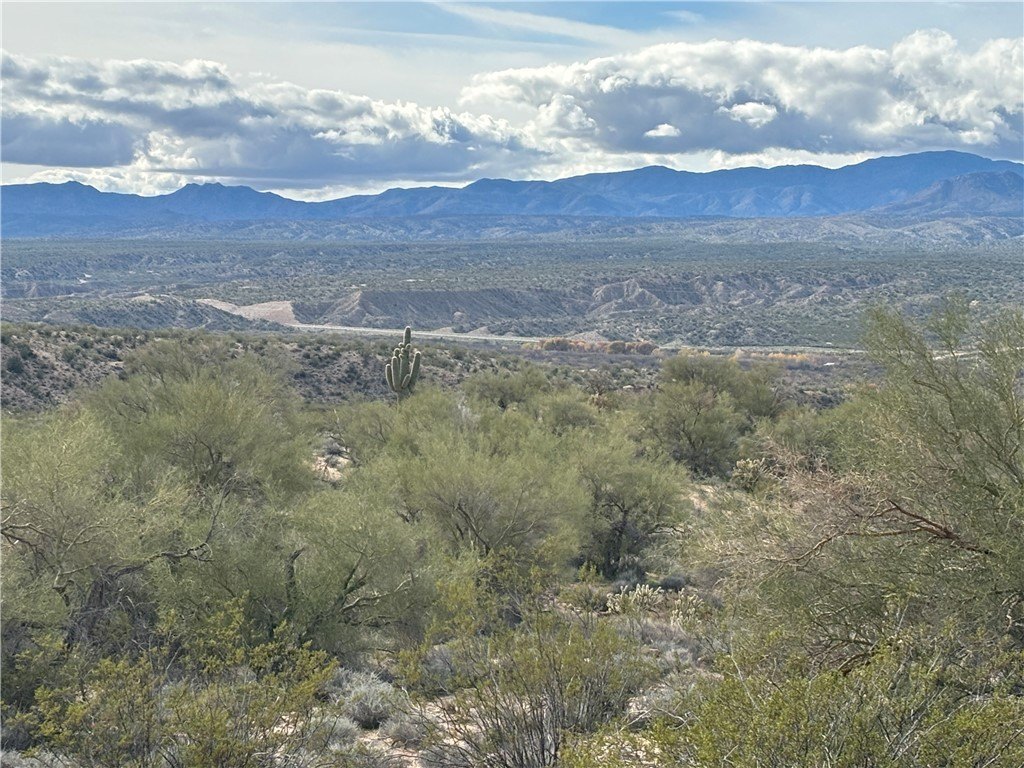 Picture 19
