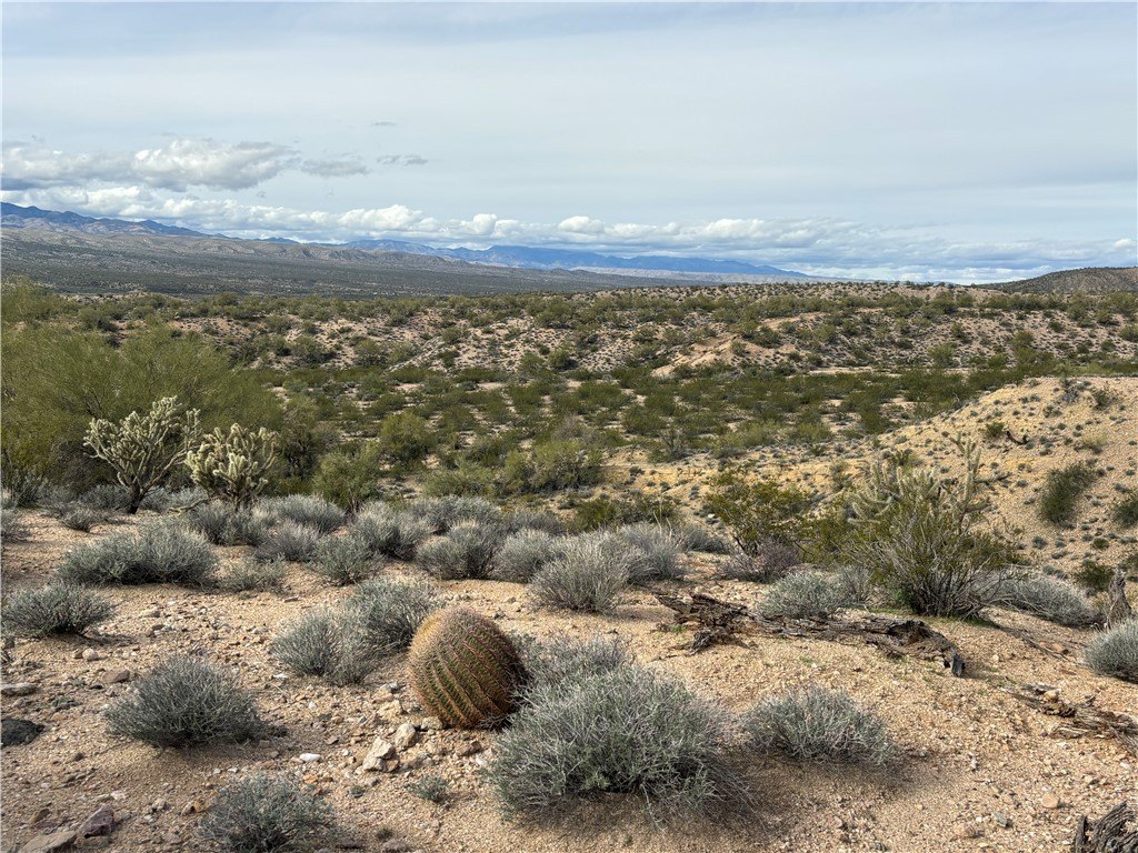 Picture 20