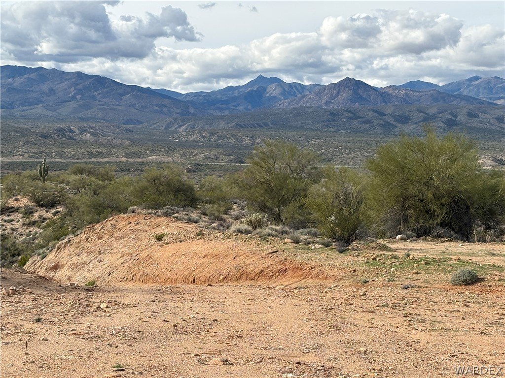 Picture 8
