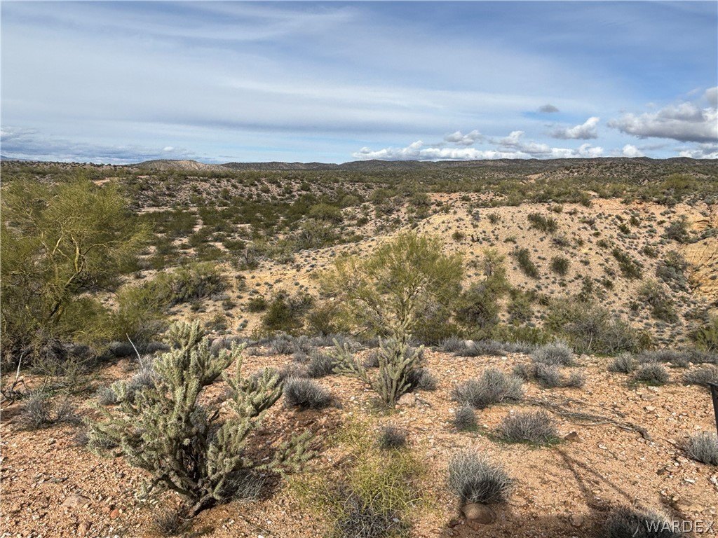 Picture 23