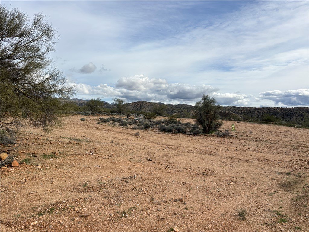 Picture 14