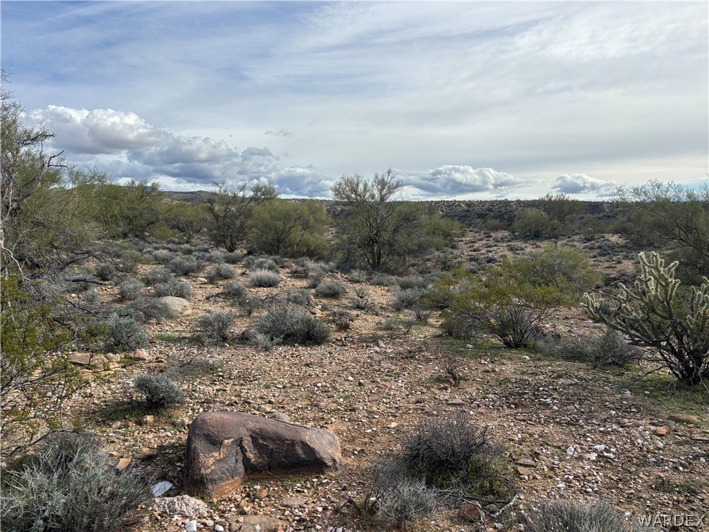 Picture 31