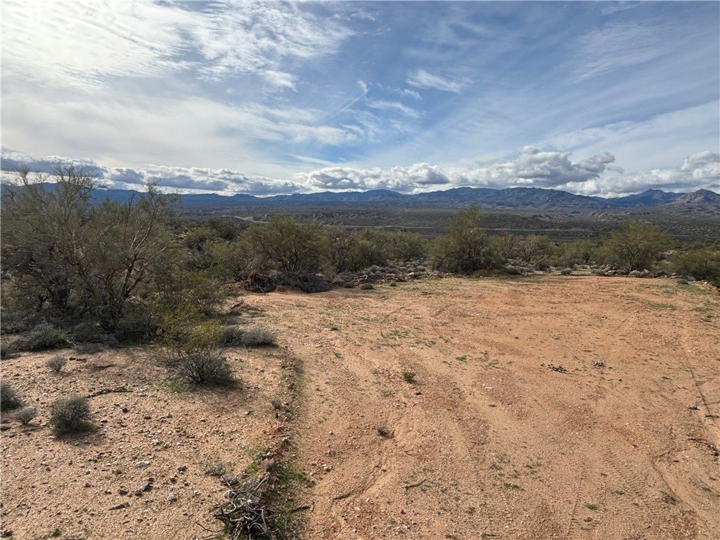Picture 22